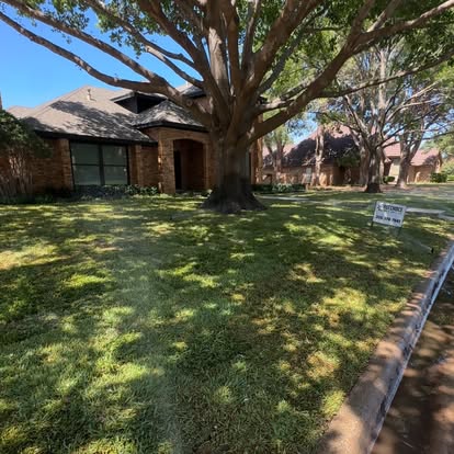 Finished shaded residential lawn by First Choice Lawn and Landscape in the Abilene area