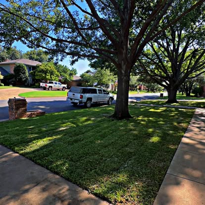 Mature shade trees surrounding a maintained lawn